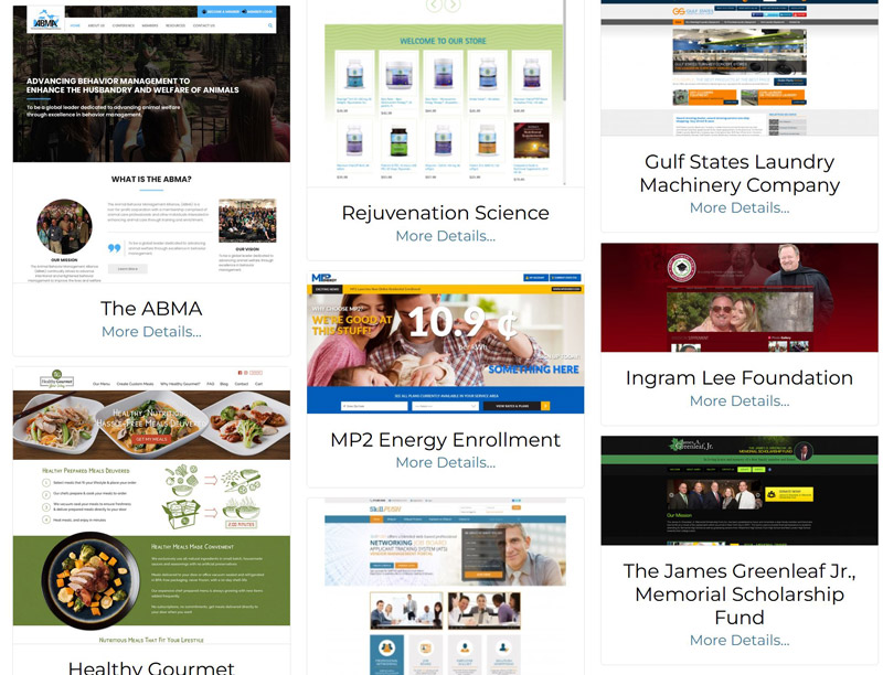 Web Design & Development Projects By IS&T